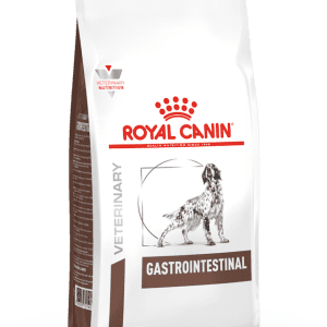 Gastrointestinal سگ