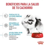 غذای خشک توله سگ مینی ایندور پاپی رویال کنین (وزن 1.5KG)   MINI INDOOR (PUPPY)_ROYAL CANIN - Image 4