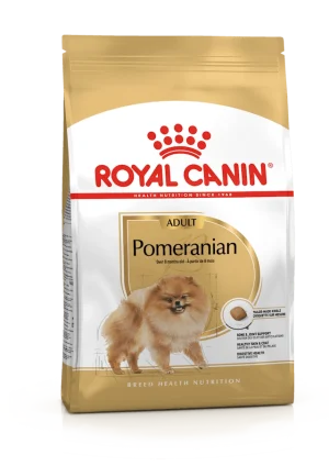 Pomeranian 1.5kg