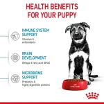 غذای خشک توله سگ پاپی مکسی رویال کنین (وزن 15KG)   PUPPY_MAXI_ROYAL CANIN - Image 3
