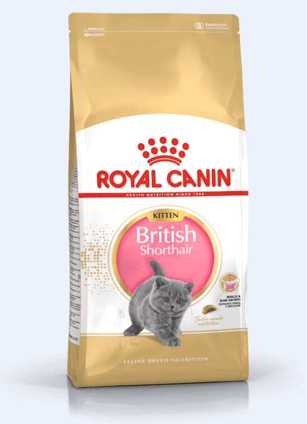 غذای خشک بچه گربه (کیتن) بریتیش شرت هیر رویال کنین (وزن 2KG)    BRITISH SHORT HAIR (KITTEN)-ROYAL CANIN