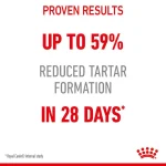 غذای خشک گربه دنتال کر رویال کنین (وزن 1.5KG)  DENTAL CARE-ROYAL CANIN - Image 4