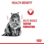 غذای خشک گربه دنتال کر رویال کنین (وزن 1.5KG)  DENTAL CARE-ROYAL CANIN - Image 5