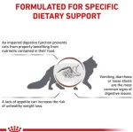 غذای خشک گربه گسترواینتستینال رویال کنین (وزن 2KG)     GASTROINTESTINAL_ROYAL CANIN - Image 2