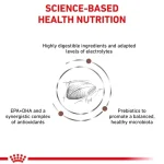 غذای خشک گربه گسترواینتستینال رویال کنین (وزن 2KG)     GASTROINTESTINAL_ROYAL CANIN - Image 3