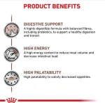 غذای خشک گربه گسترواینتستینال رویال کنین (وزن 2KG)     GASTROINTESTINAL_ROYAL CANIN - Image 4