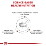 غذای خشک گربه هپاتیک رویال کنین (وزن 2KG)    HEPATIC_ROYAL CANIN - Image 2