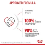 غذای خشک بچه گربه کیتن رویال کنین (وزن 2KG)    KITTEN_ROYAL CANIN - Image 3