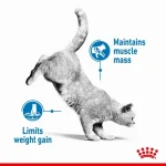 غذای خشک گربه لایت ویت رویال کنین (وزن 1.5KG)    LIGHT WEIGHT CARE_ROYAL CANIN - Image 2