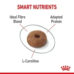 غذای خشک گربه لایت ویت رویال کنین (وزن 1.5KG)    LIGHT WEIGHT CARE_ROYAL CANIN - Image 4