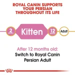 غذای خشک بچه گربه پرشین رویال کنین (وزن 2KG)    PERSIAN (KITTEN)_ROYAL CANIN - Image 2