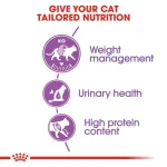 غذای خشک گربه عقیم شده (استرلایز) رویال کنین (وزن 2KG)    REGULAR STERILISED_ROYAL CANIN - Image 2
