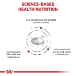 غذای خشک گربه رنال رویال کنین (وزن 2KG)   RENAL_ROYAL CANIN - Image 2