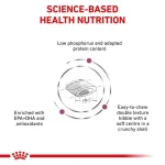 غذای خشک گربه رنال سلکت رویال کنین (وزن 2KG)    RENAL SELECT_ROYAL CANIN - Image 2