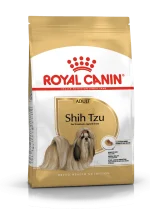 Shih Tzu Adult