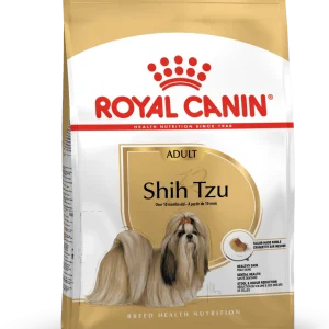 Shih Tzu Adult