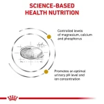 غذای خشک گربه یورینری  اس/او رویال کنین (وزن 1.5KG)    URINARY S/O_ROYAL CANIN - Image 5