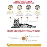 غذای خشک گربه یورینری  اس/او رویال کنین (وزن 1.5KG)    URINARY S/O_ROYAL CANIN - Image 3