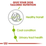 غذای خشک سگ ایکس اسمال ادالت رویال کنین (وزن 1.5KG)    X_SMALL (ADULT)_ROYAL CANIN - Image 3