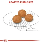 غذای خشک سگ ایکس اسمال ادالت رویال کنین (وزن 1.5KG)    X_SMALL (ADULT)_ROYAL CANIN - Image 4