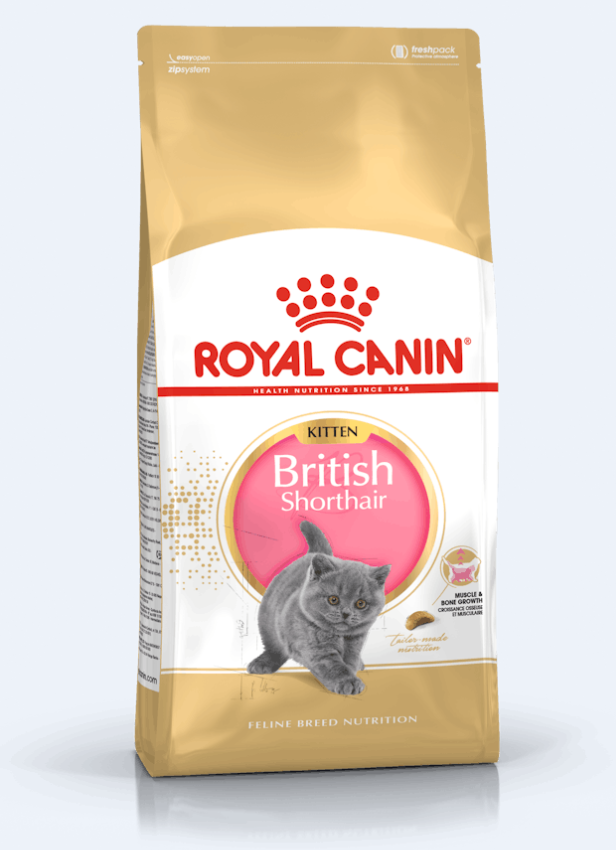 غذای خشک بچه گربه (کیتن) بریتیش شورت هیر رویال کنین (وزن 2KG)    BRITISH SHORT HAIR (KITTEN)-ROYAL CANIN