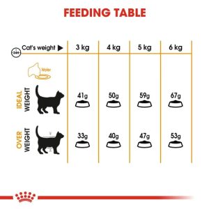 royal canin hair and skin cat 10