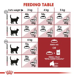 royal canin regular fit 32 cat 10