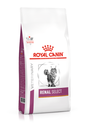 vhn vital support renal select cat dry pat