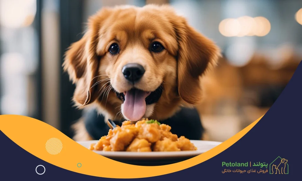 بهترین برند غذای سگ خارجی و ایرانی