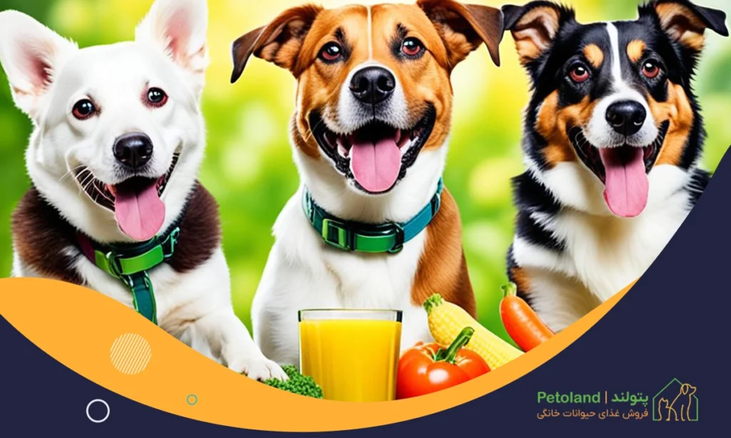 معرفی غذاهای مفید برای سگ
