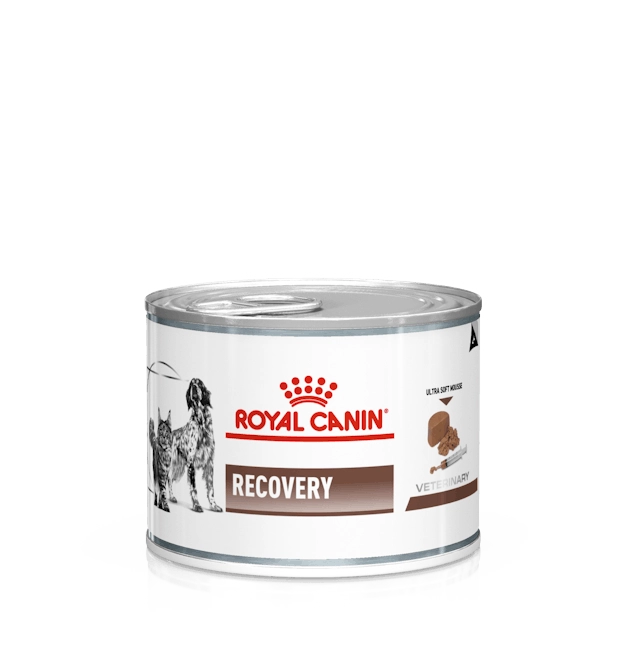 کنسرو سگ و گربه ریکاوری رویال کنین (وزن 195G)    RECOVERY Cat & Dog_ROYAL CANIN