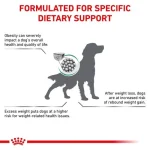 غذای خشک سگ ستایتی (ساپورت) رویال کنین (وزن 6KG)    SATIETY (Support)_ROYAL CANIN - Image 2