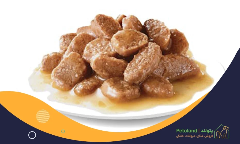 پوچ سگ چیست؟ مزایا و معایب آن