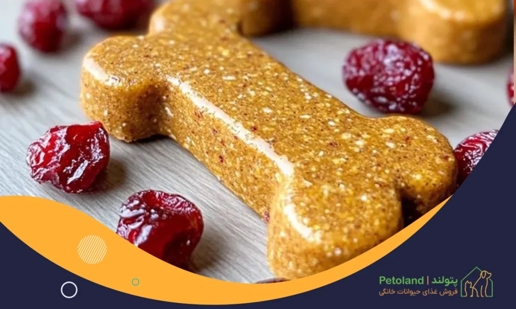 تشویقی سگ چیست