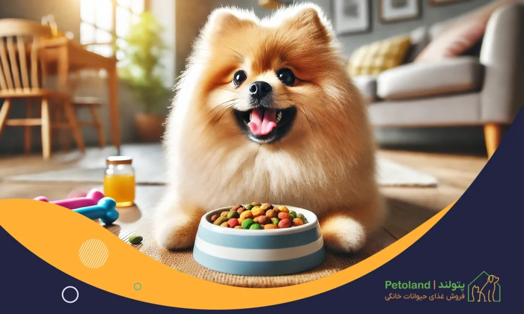 غذای سگ پامر چیست