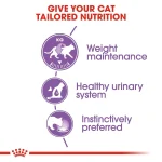 پوچ گربه استرلایز رویال کنین (وزن 85G)    STERILISED_ROYAL CANIN - Image 2
