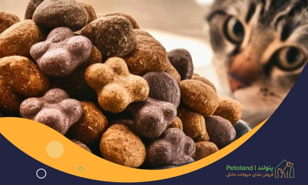 غذاهای مناسب گربه کدامند؟ معرفی 10 تا از بهترین غذاها