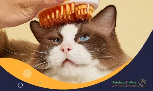 مشکلات هورمونی و افزایش سن
