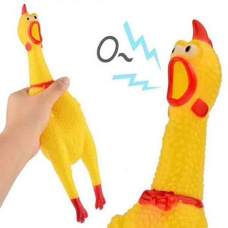 مرغ نالان