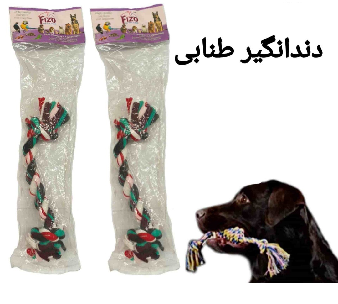 دندانگیر طنابی